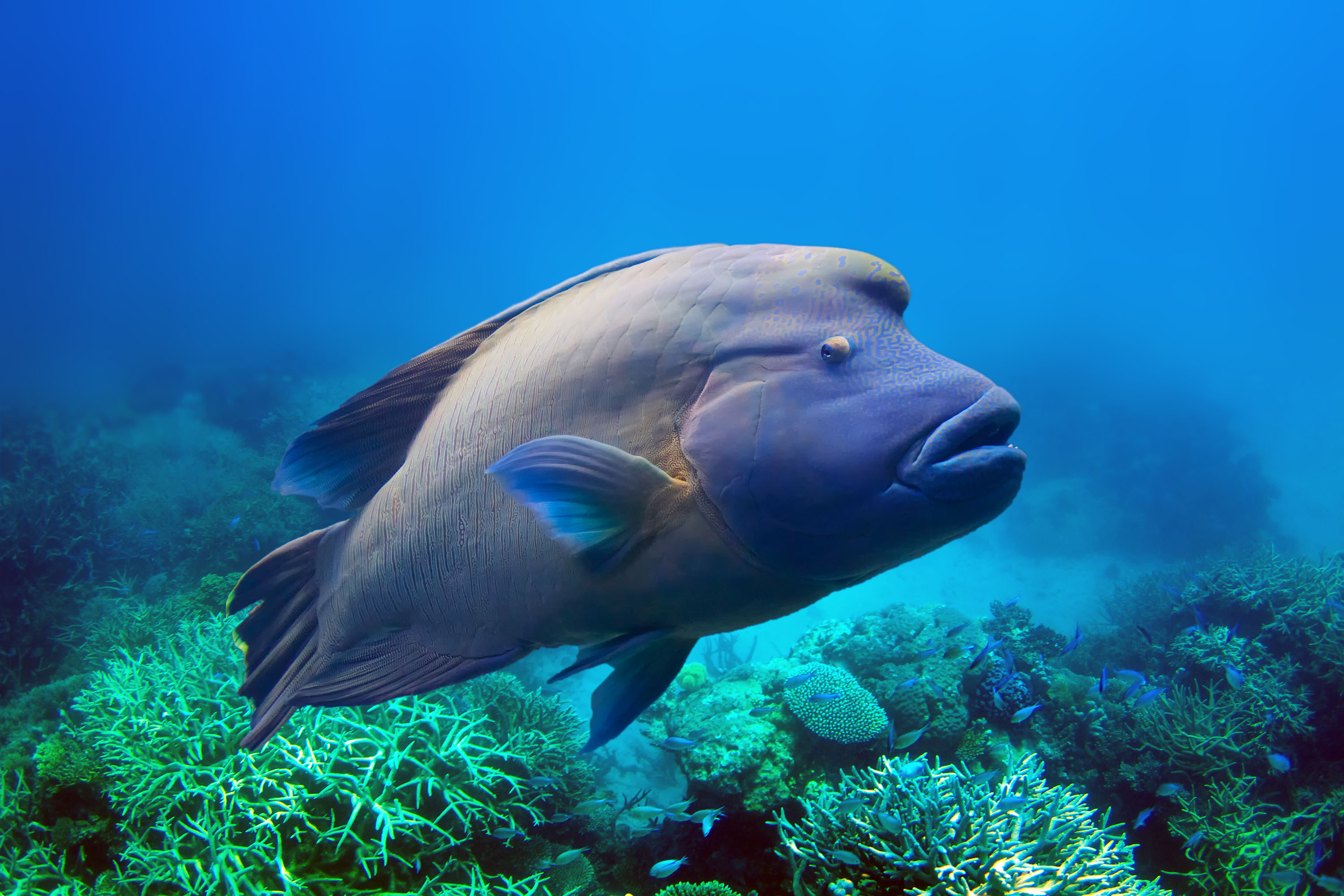 Aquariums de France uca-asso NAISSANCES : DEUX LOUTRES D'EUROPE