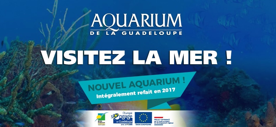 Produit touristique : l'Aquarium de Guadeloupe fait peau neuve