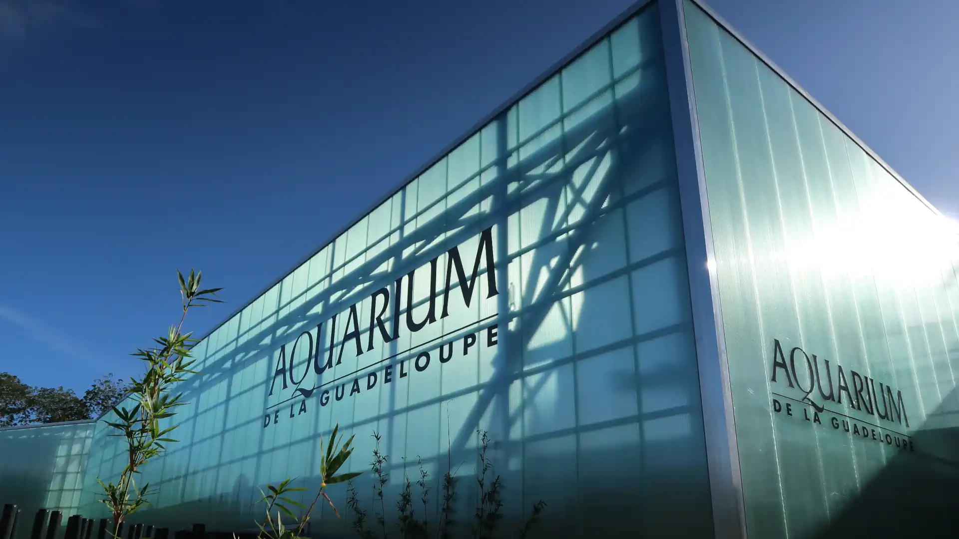 guadeloupe aquarium de la guadeloupe extérieur