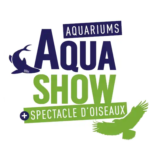 audierne-500 aquashow