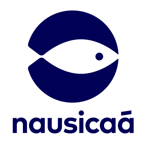 boulogne-500 Nausicaa