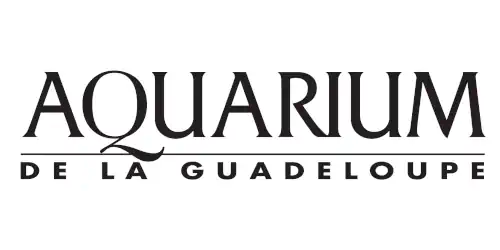 guadeloupe-500 aquarium de la guadeloupe
