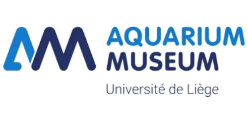 liege-500 muséum liège