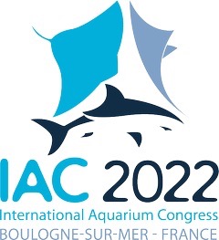 logo-ica-2022 logo ica 2022