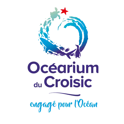 ocearium-500 océarium le croisic