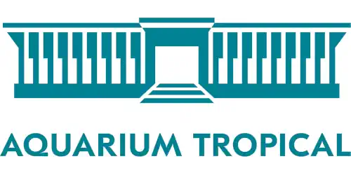 porte-doree-500 aquarium porte dorée