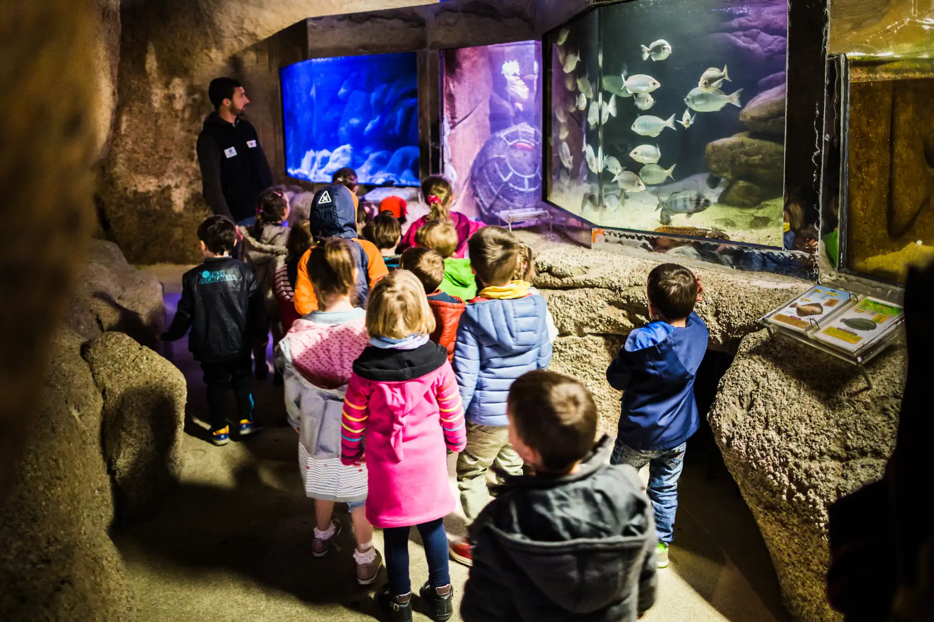 visite-pedagogique visite pédagogique